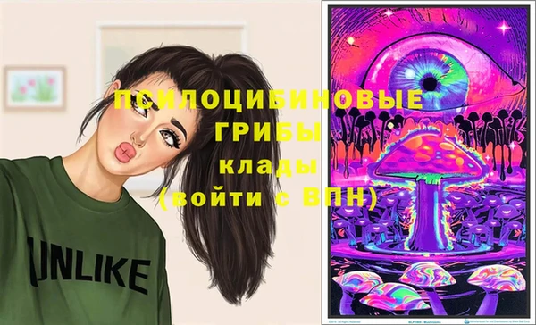 мдма Пролетарск