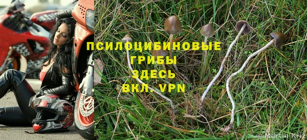 мдма Пролетарск
