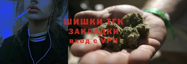 амф Магас