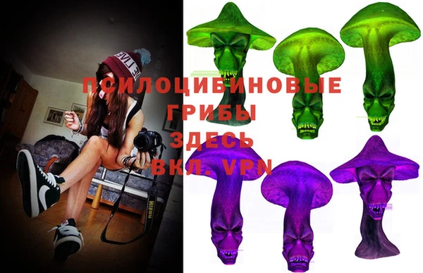 тгк Протвино