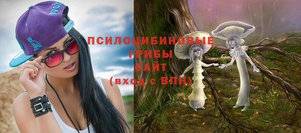 тгк Протвино