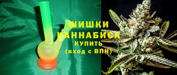 индика Зуевка
