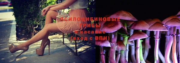 мдма Пролетарск